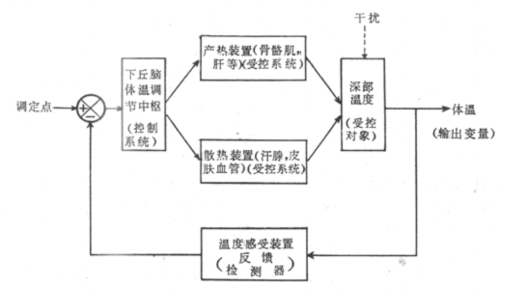 爸妈，天气热，空调该开就开，别省着，身体重要！ (https://www.qianyan.tech/) 科学 第2张