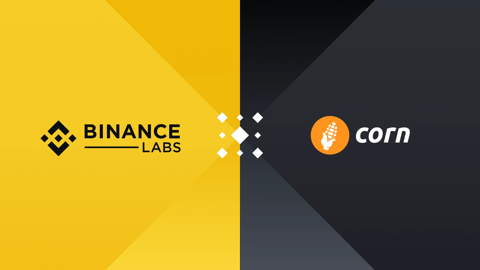 手把手带你交互Binance Labs八月投资五大项目  (https://www.qianyan.tech/) 区块链 第16张