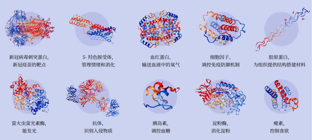 为何诺贝尔化学奖又颁给AI？万字详解：AI重塑结构生物学   (https://www.qianyan.tech/) 科学 第4张