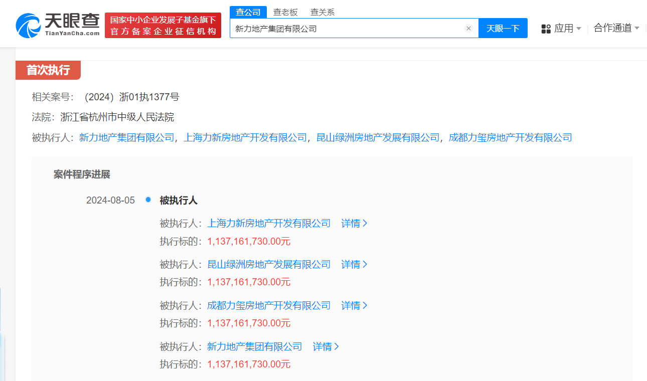 新力地产等被强制执行11.3亿 (https://www.qianyan.tech/) 互联网 第3张