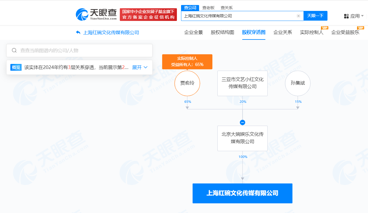 贾玲实控上海一传媒公司注销 大碗娱乐旗下上海公司注销 (https://www.qianyan.tech/) 互联网 第2张