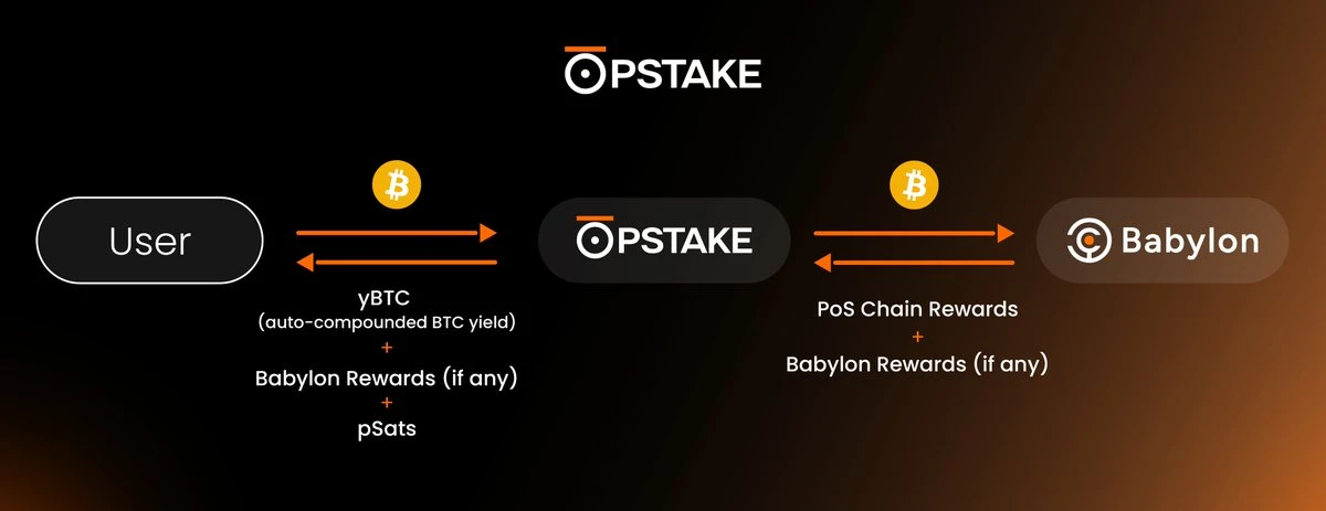 WBTC之后，透视托管BTC版图格局  (https://www.qianyan.tech/) 区块链 第4张