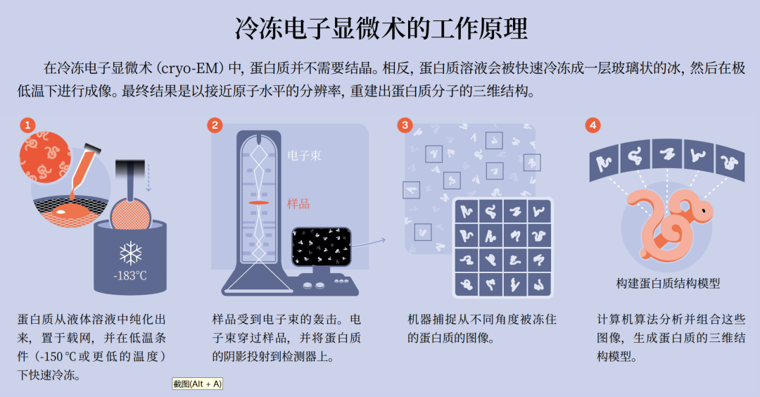 为何诺贝尔化学奖又颁给AI？万字详解：AI重塑结构生物学   (https://www.qianyan.tech/) 科学 第11张