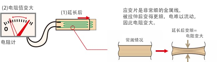 普源精电M300，多通道应力测量利器，精准高效，助力您掌控全场！ (https://www.qianyan.tech/) 头条 第4张