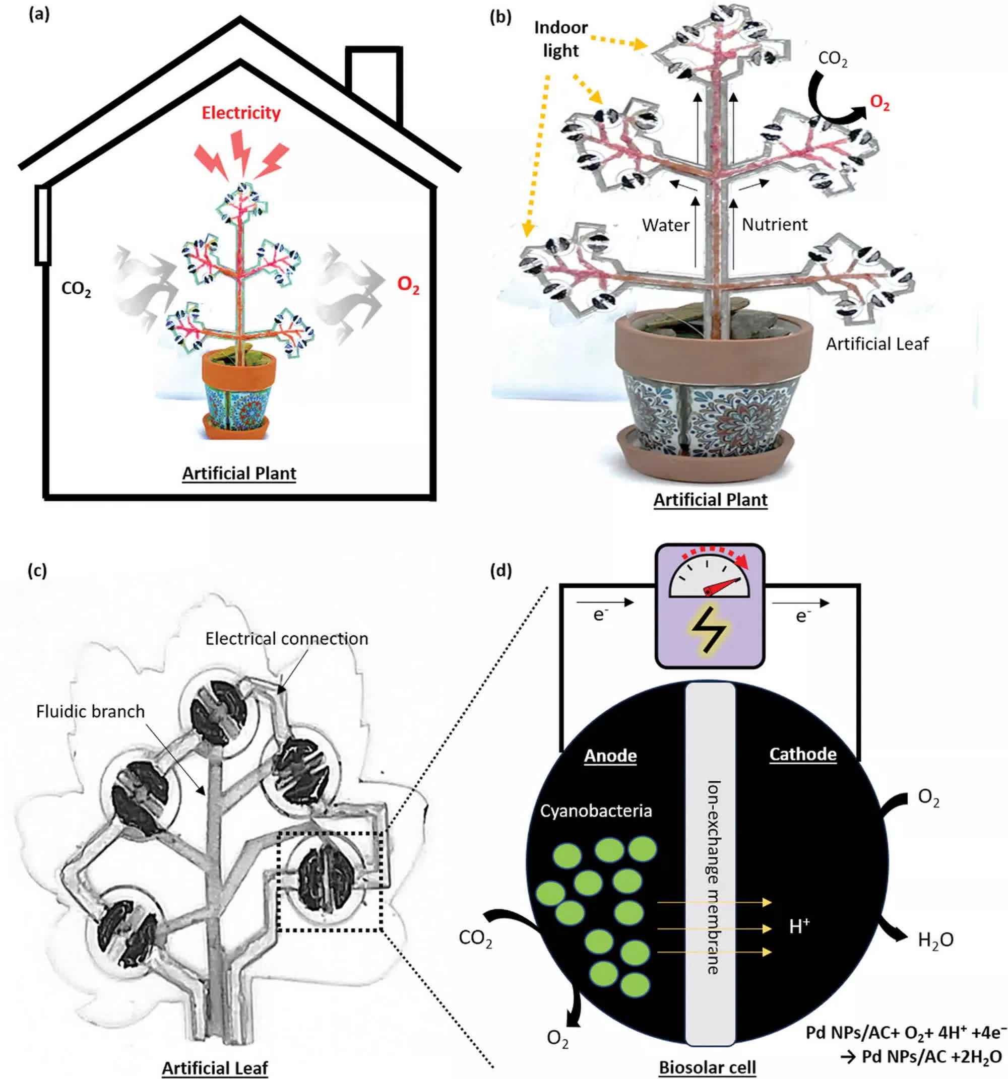 人工植物可净化室内空气 并可作为小型电子产品的电源   (https://www.qianyan.tech/) 科学 第2张