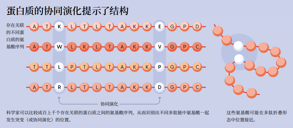 为何诺贝尔化学奖又颁给AI？万字详解：AI重塑结构生物学   (https://www.qianyan.tech/) 科学 第6张