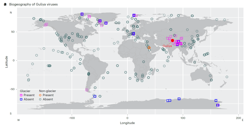 古里雅冰川中发现超过 1700 种古病毒，它们对人体有威胁吗？   (https://www.qianyan.tech/) 科学 第2张