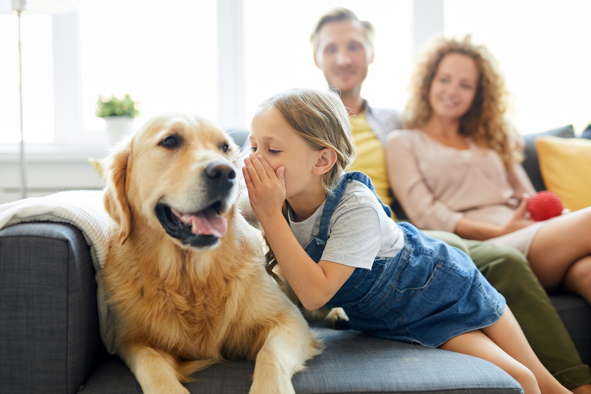 研究发现犬类在处理语言时反应较慢 掌握节奏可以增强其理解力   (https://www.qianyan.tech/) 科学 第1张